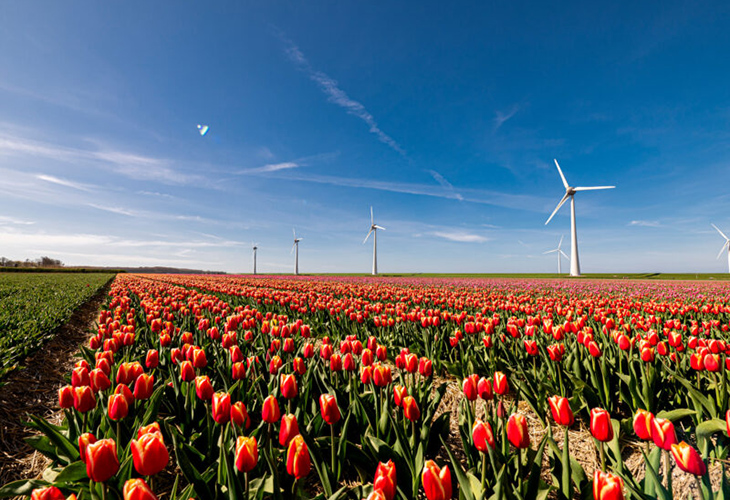 2023_Tulpenfestival-1-1-1-1-1-1-1-1-1-1-1.jpg